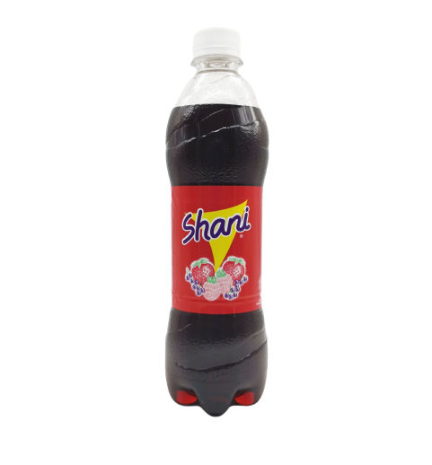 Shani Plastic Bottle (12 X 500 ml)